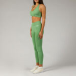 GSA Women's Sports Seamless Bra and Leggings Set