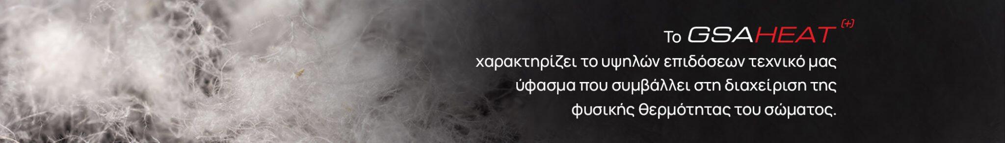 GSAHEAT_INSIDE_BANNER_2100x300_GR-2048x293